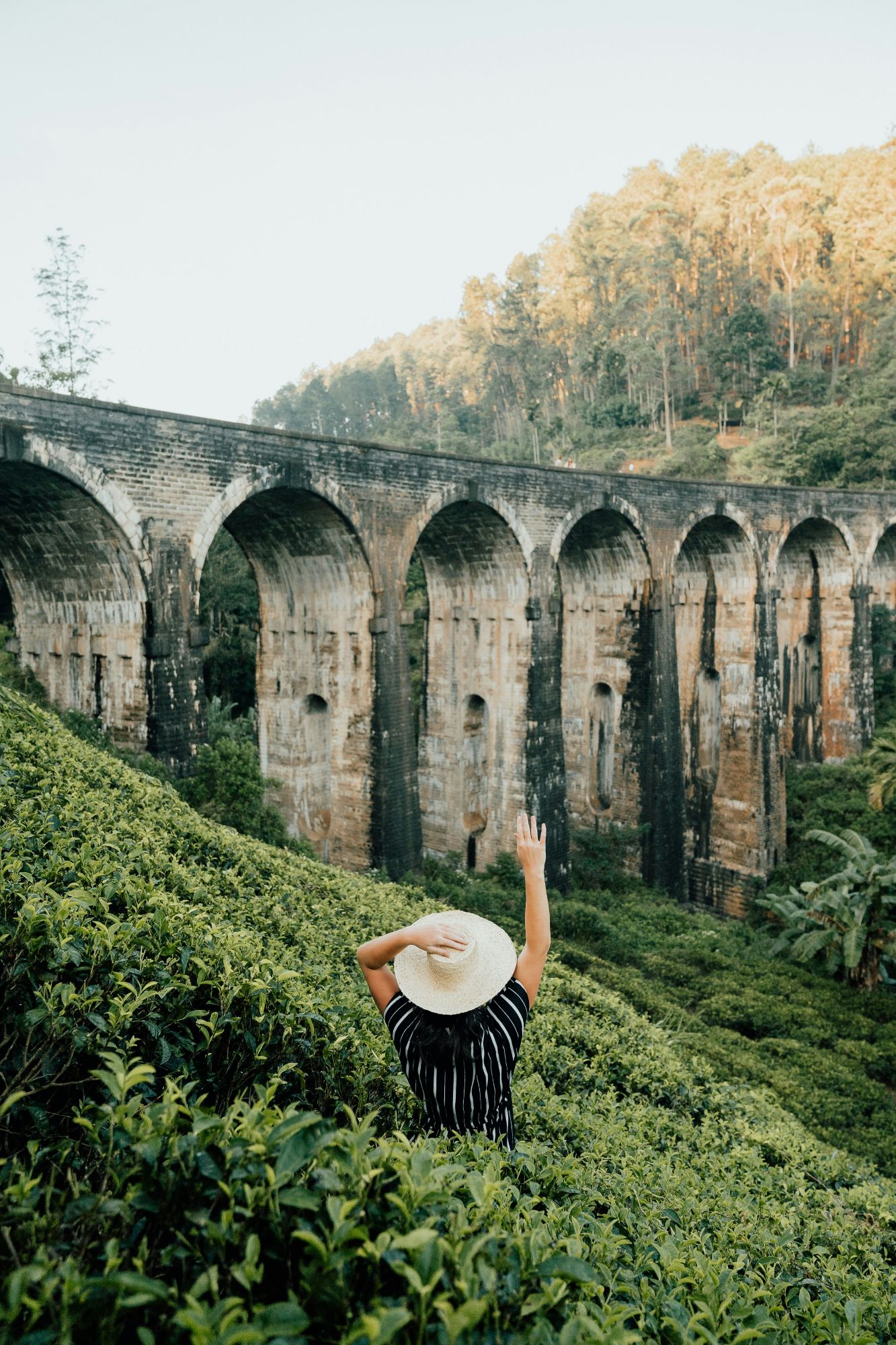 Ella, Sri Lanka: A Hidden Gem for Nature Lovers and Adventure Seekers”