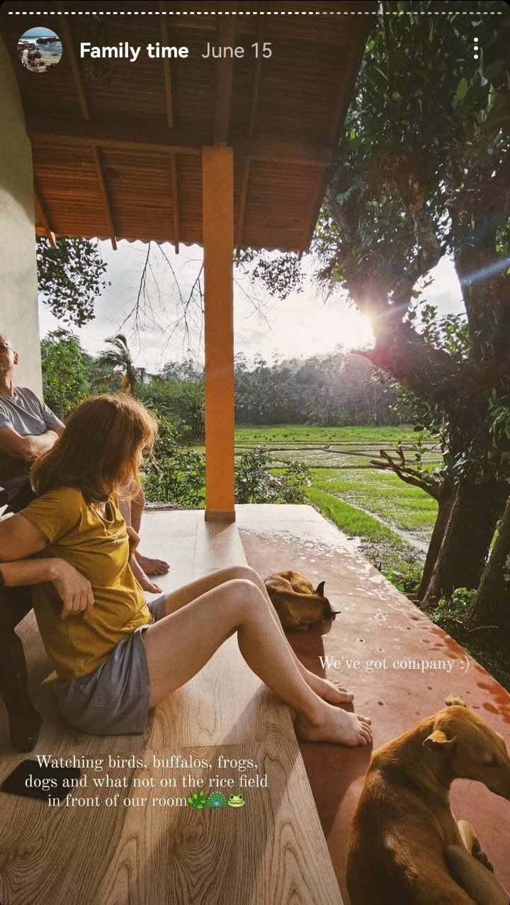 Forest & Fields Sinharaja |Discover Serenity at Forest & Fields Sinharaja : Your Ultimate Rainforest Retreat