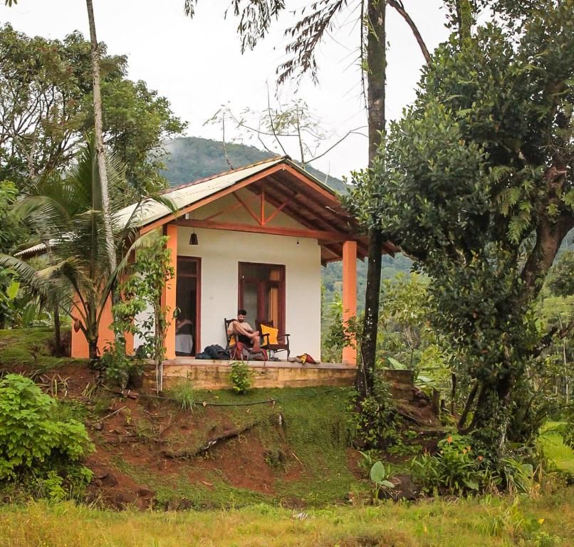Eco-Friendly Airbnb In Srilanka by Sinharaja Rainforest | Rice Field Retreat & Guided Nature Tours
