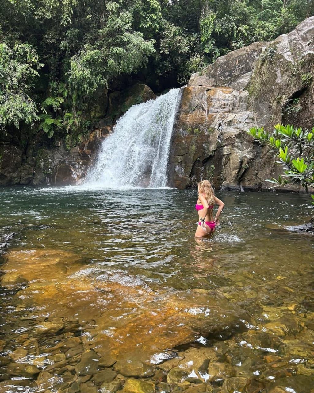 Explore Sinharaja Rainforest – Sri Lanka’s Biodiversity Hotspot