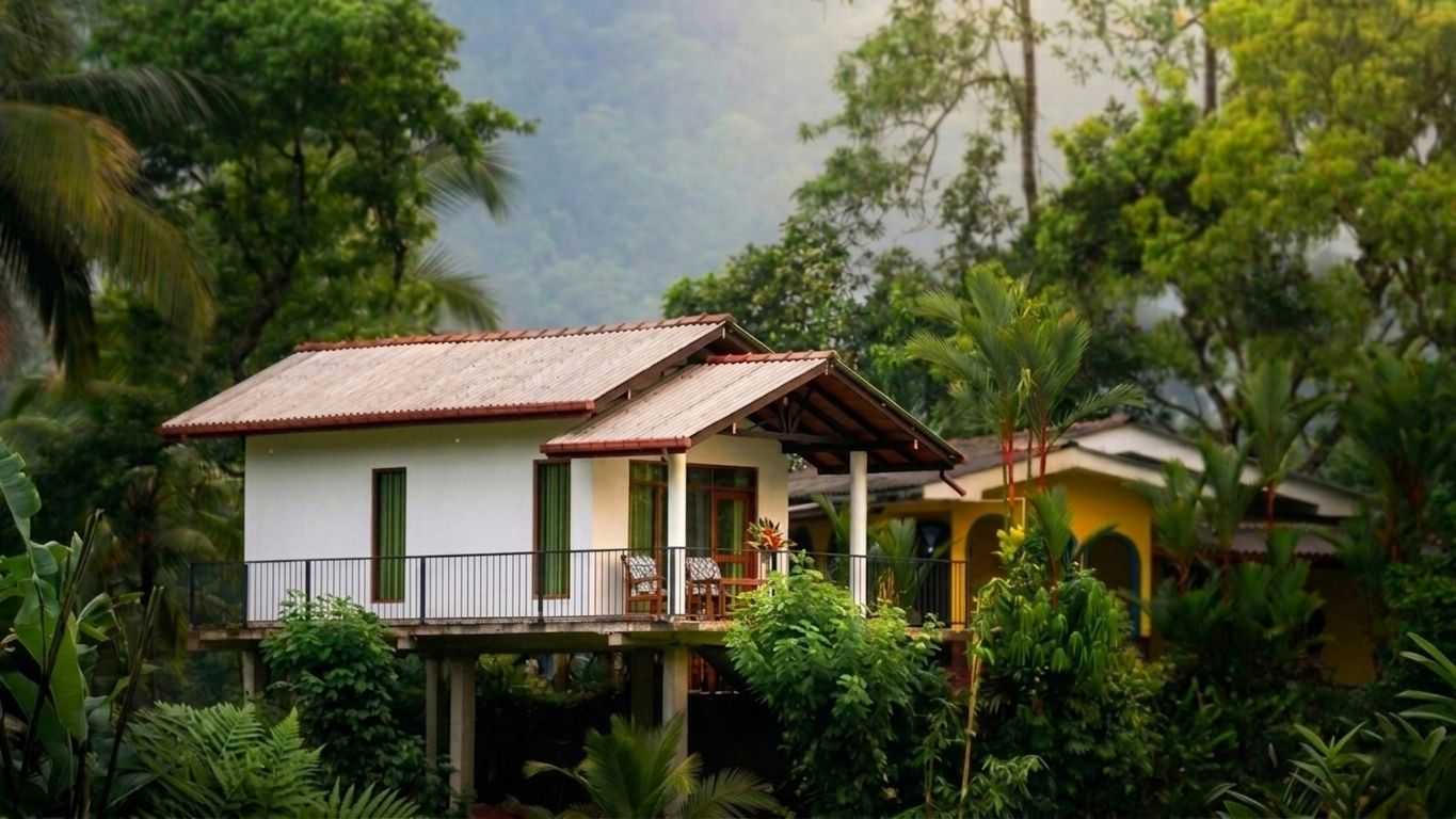 Sinharaja Rainforest Tours | 2 Nights 1 Day Sinharaja Rainforest Tour